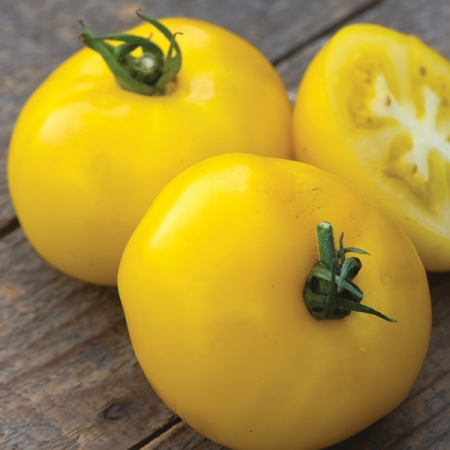 TOMATO LEMONITA HYBRID