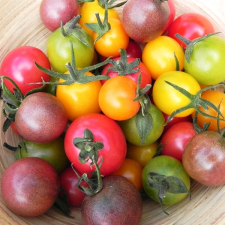 TOMATO SUN CHERRY MIXED SEEDS | Small Fruit Tomatoes