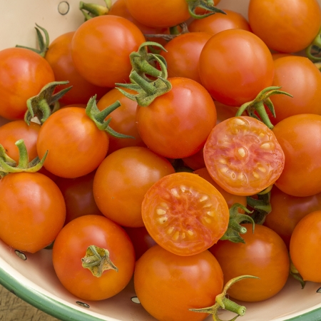 TOMATO ORANGETO