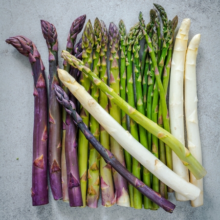 ASPARAGUS COLOURFUL CONNOISSEUR F1 MIXED