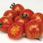 TOMATO RED ZEBRA